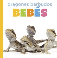 bokomslag Dragones Barbudos Bebés