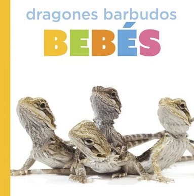 bokomslag Dragones Barbudos Bebés