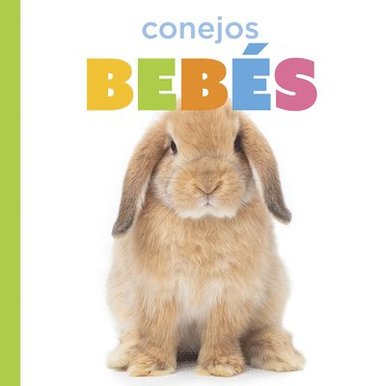 bokomslag Conejos Bebés