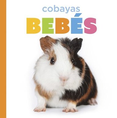 bokomslag Cobayas Bebés