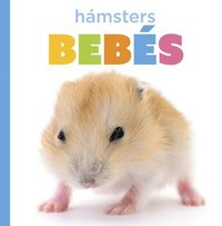 bokomslag Hámsters Bebés