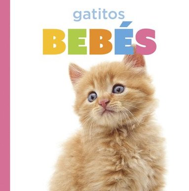 bokomslag Gatitos Bebés