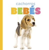 bokomslag Cachorros Bebés