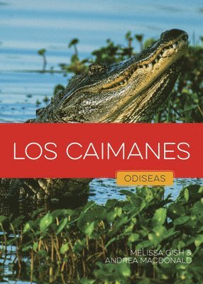bokomslag Los Caimanes