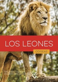 bokomslag Los Leones