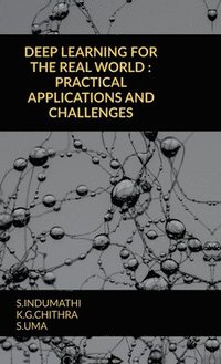 bokomslag Deep Learning for the Real World: Practical Applications and Challenges