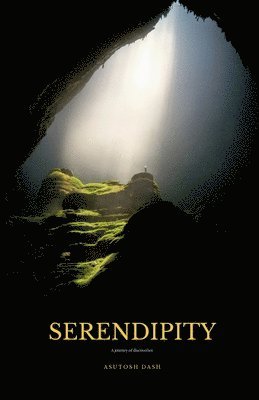 Serendipity 1