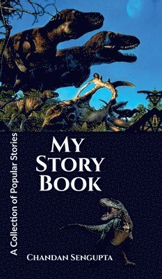 bokomslag My Story Book