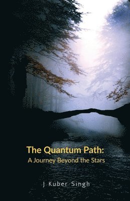 bokomslag The Quantum Path