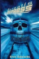 bokomslag Borealis Express