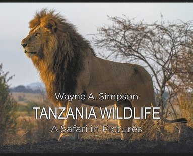 bokomslag Tanzania Wildlife