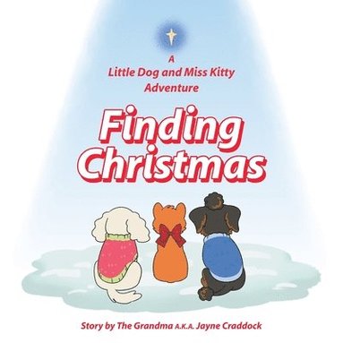 bokomslag Finding Christmas