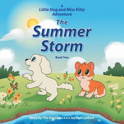 Summer Storm
