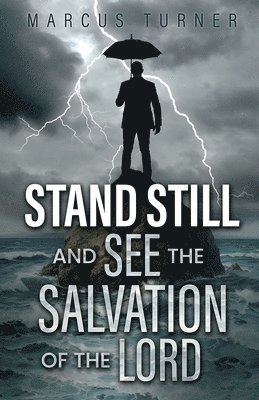 bokomslag Standing Still and See the Salvation of the Lord
