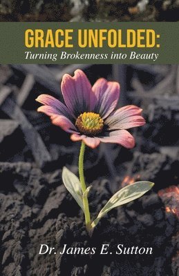 bokomslag Grace Unfolded