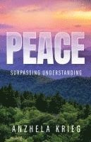 bokomslag Peace Surpassing Understanding