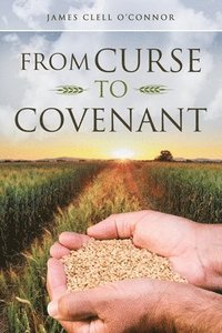 bokomslag From Curse to Covenant