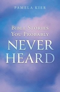 bokomslag Bible Stories You Probably Never Heard