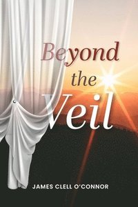 bokomslag Beyond the Veil