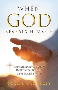 bokomslag When God Reveals Himself
