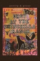 bokomslag Orgy at the Chinchilla Ranch