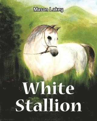 bokomslag White Stallion