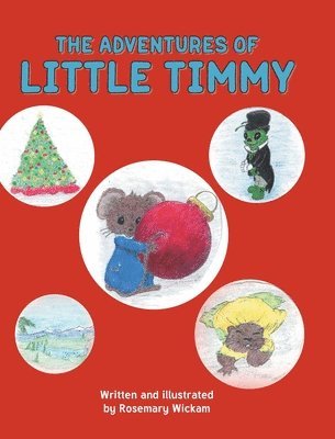 bokomslag The Adventures of Little Timmy