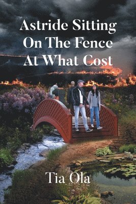 Astride Sitting On The Fence At What Cost