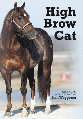 Jack Waggoner - High Brow Cat, Inbunden