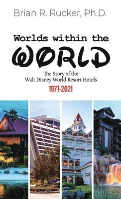 bokomslag Worlds Within the World
