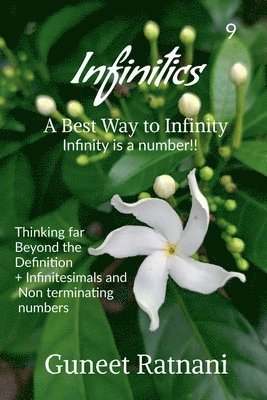 bokomslag Infinitics