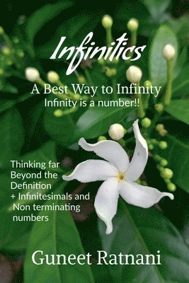 Infinitics 1