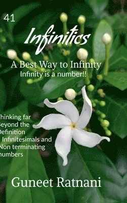 bokomslag Infinitics