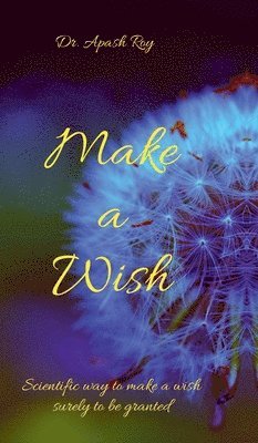 Make a wish 1