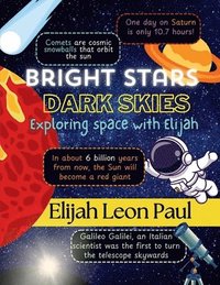 bokomslag Bright Stars Dark Skies