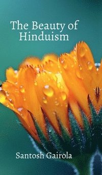 bokomslag beauty of Hinduism