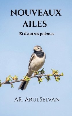 bokomslag Nouveaux Ailes