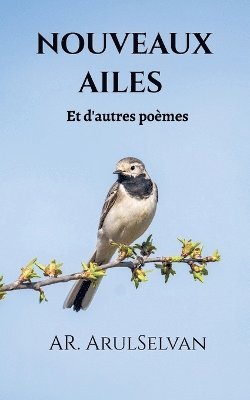 Nouveaux Ailes