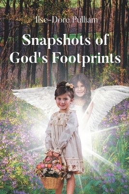 bokomslag Snapshots of God's Footprints