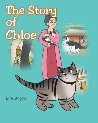 bokomslag Story of Chloe
