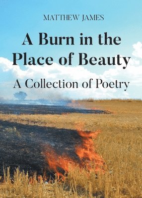 bokomslag Burn in the Place of Beauty