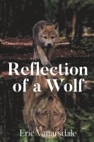 Reflection of a Wolf 1
