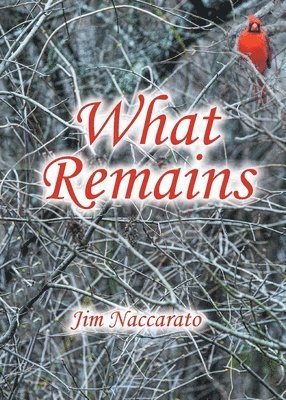 Jim Naccarato, Naccarato,Jim, - What Remains, Häftad