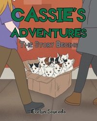 bokomslag Story Begins