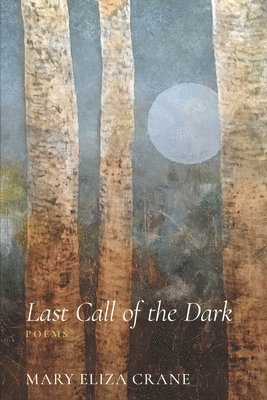 Last Call of the Dark 1