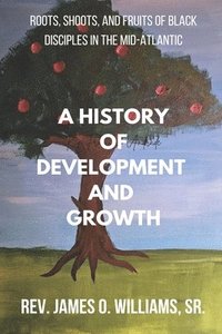 bokomslag A History of Development and Growth