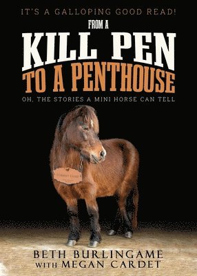 From a Kill Pen to a Penthouse 1