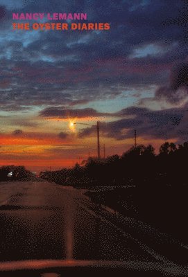 Nancy Lemann - The Oyster Diaries, Häftad