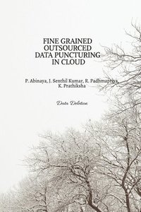 bokomslag Fine Grained Outsourced Data Puncturing in Cloud