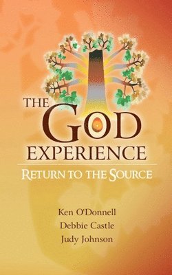 bokomslag God Experience